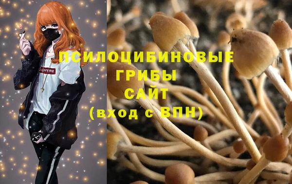 spice Липки