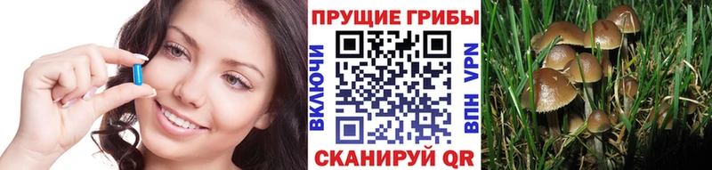 Купить где Жирновск Псилоцибиновые грибы мухоморы